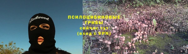 герыч Арсеньев