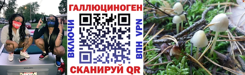 Галлюциногенные грибы Magic Shrooms  Краснослободск 